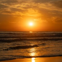 pexels-eduraw-35645999